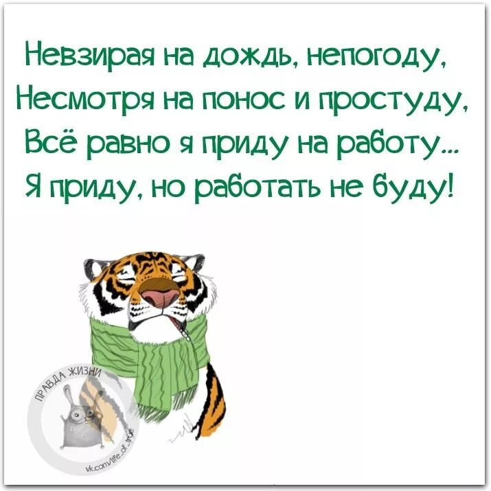 Невзирая на дождь непогоду несмотря. Не взирая на дождь непогоду не смотря на понос. Несмотря на непогоду. Несмотря на понос и простуду. Невзирая на день