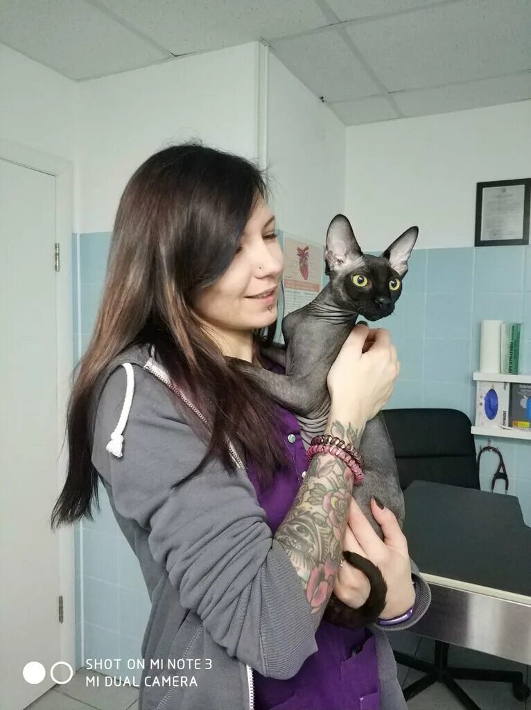 ветеринарная клиника одинцово говорова. кантривет ветклиника. алиса климова ветеринар. ветклиника внииссок. Cat chow мультипак.