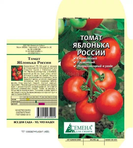 Сорт томатов яблонька россии. Сорт помидор Яблонька. Помидоры Яблонька России описание сорта. Томат Яблонька России СЕДЕК. Томат томат Яблонька России 200% НК.