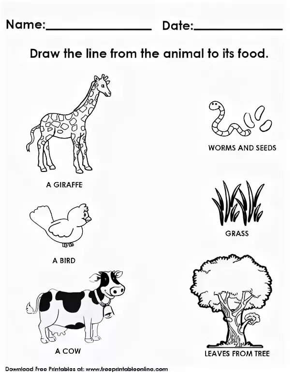 Do they like animals. Worksheets for для детей for Kids animals food. Animals and their food. Animals food Worksheets. Food for animals Worksheets for Kids.