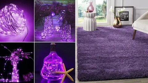 Purple обзор