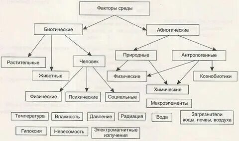 Заполните таблицу факторы среды обитания