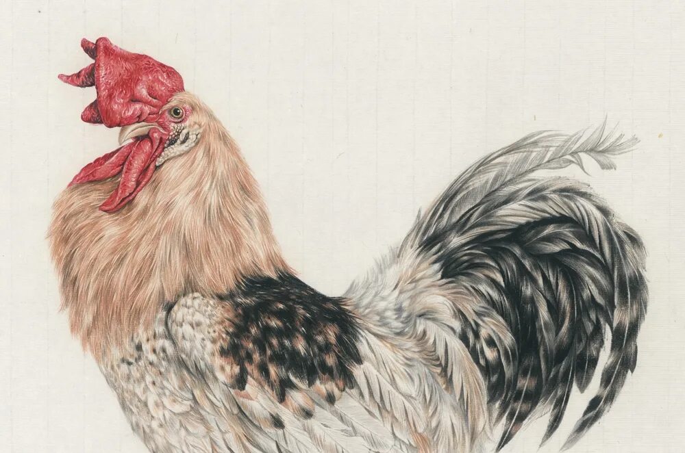 Тан цзян. Тан цзян. Цзян хэ сянь художник. Тань цзянь цзы. Joseph hautman художник тигр.