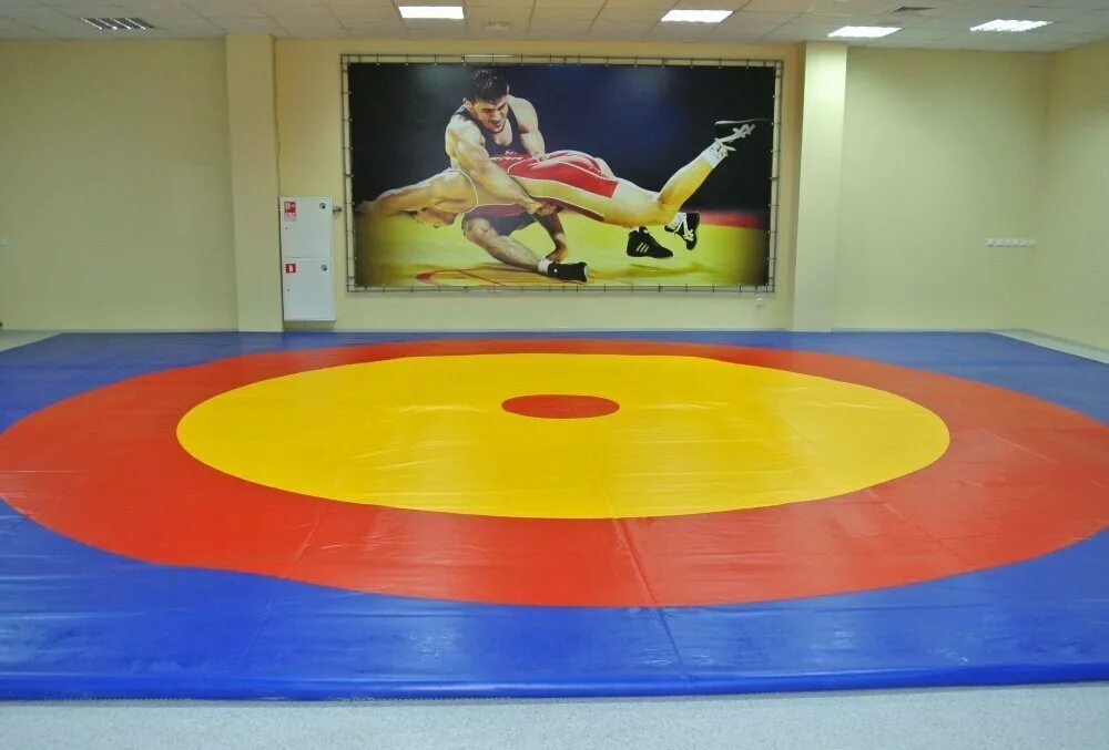 Борцовских ковров. Борцовский ковер 12х12 круг размер. Ковер борцовский 12*12. Борцовские ковры татами. Борцовский ковер самбо.