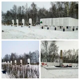 Тулун березовая роща