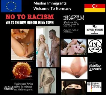 Refugees welcome porn