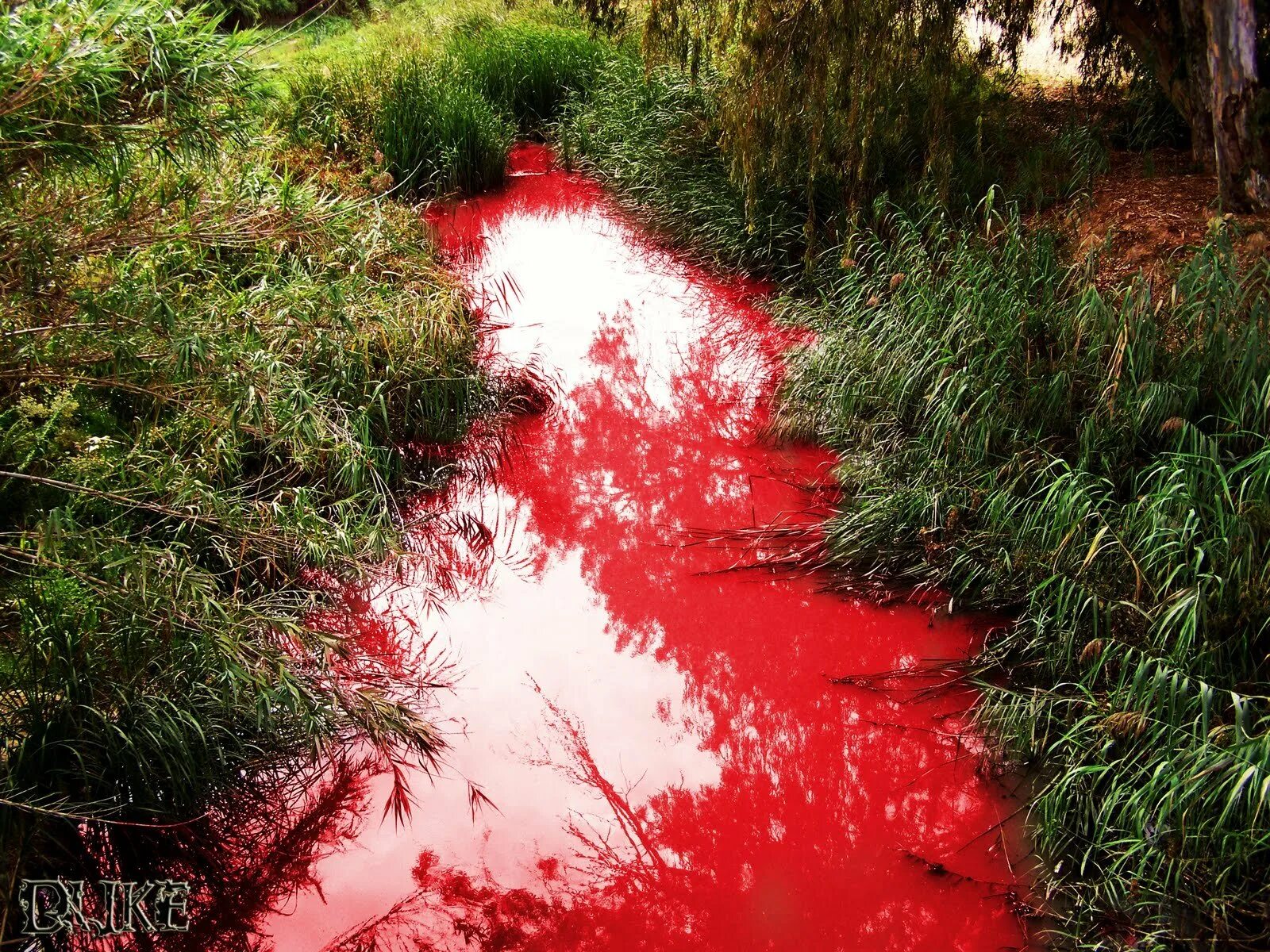кровяные озера. кроваво красное озеро арт. кровяные озера. пейзаж в красном цвете. Scp 354 алое озеро в реальной жизни.