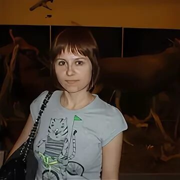 Sveta mail