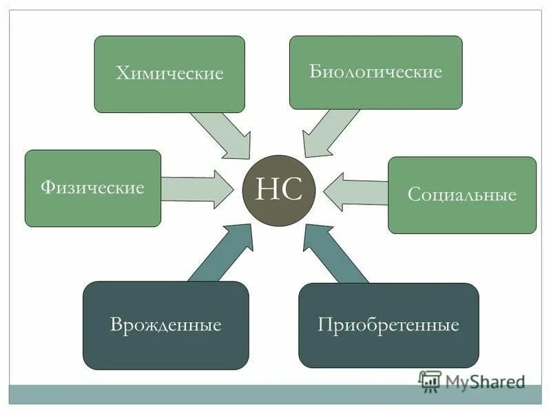 социальные основы физической культуры. социально-биологические основы физической культуры презентация. нервная регуляция материальная основа. социально биологические основы. физические биологические и социальные системы.