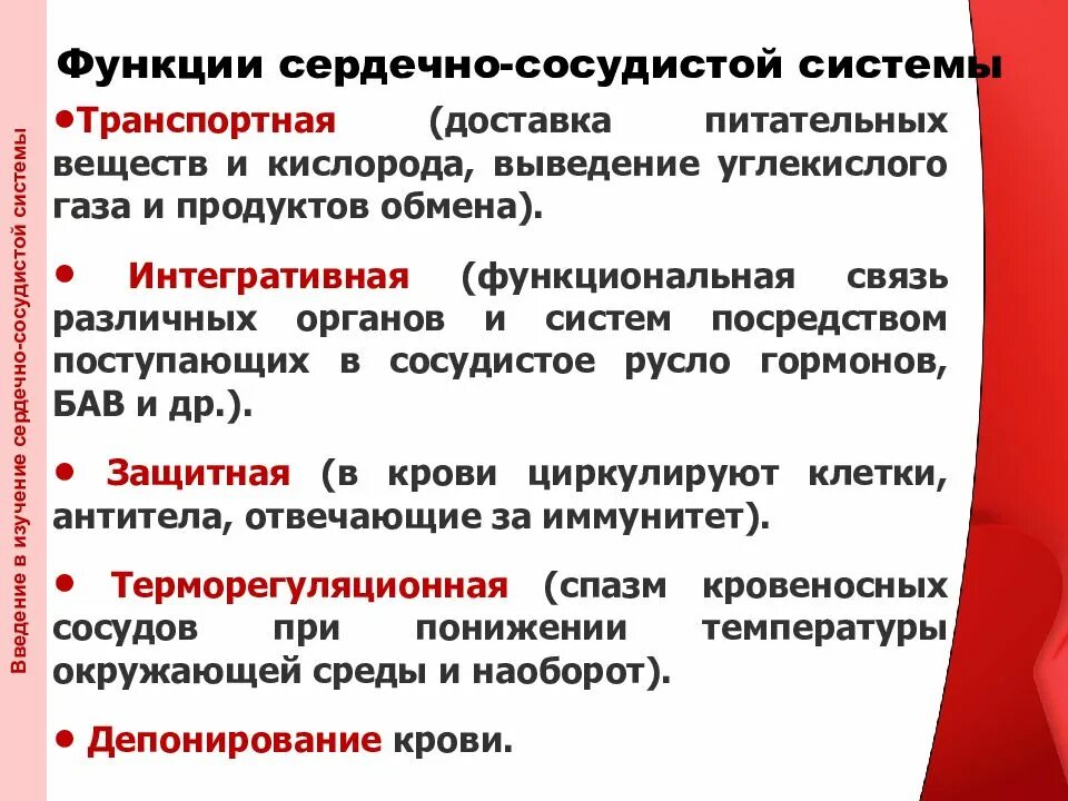 Функции сердечно-сосудистой системы. Функции сосудистой системы. Перечислите основные функции сердечно-сосудистой системы. Функции ССС. Основные функции кровообращения