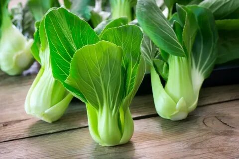 Китайская листовая капуста