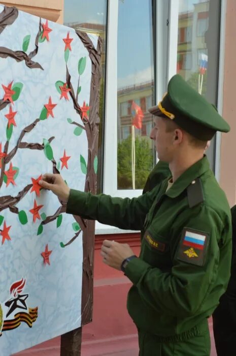 9 мая дерево. Дерево памяти акция к 9 мая. Акция дерево. Дерево памяти на 9 мая. Дерево Победы.