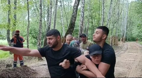 Избили в лесу