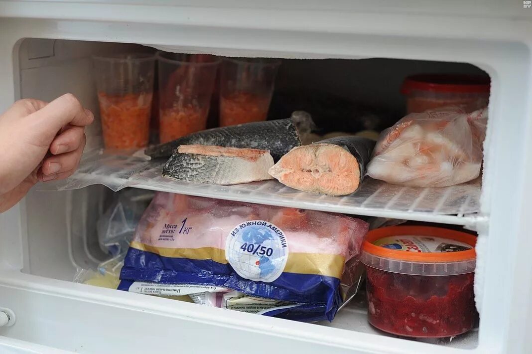 Рыба без холодильника сколько. Морозильник с продуктами. Рыба в морозилке. Продукты в морозилке. Хранение рыбы.