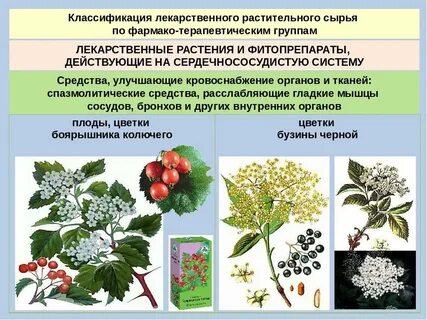 Целебные травы состав