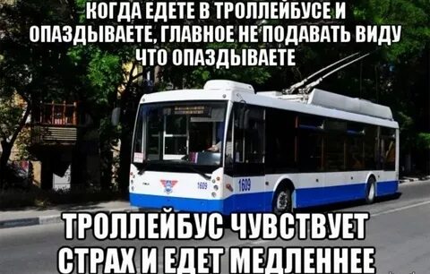 Почему не ездят автобусы