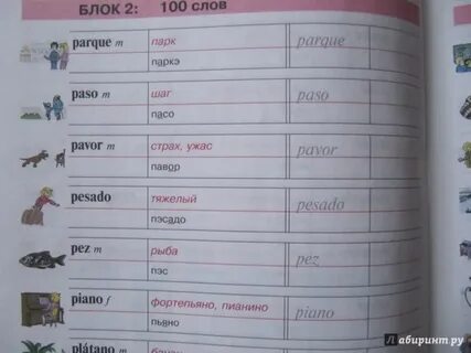 Слова по испанскому языку
