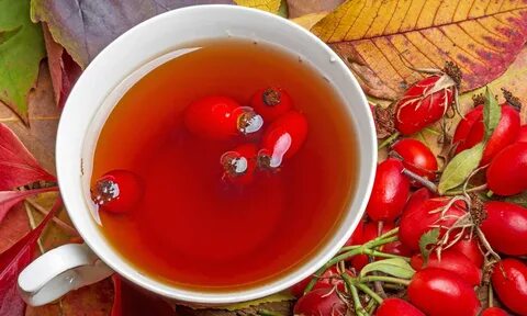 Можно чай шиповник