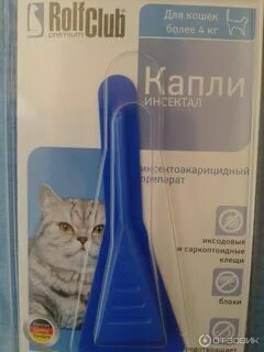 Инспектор мини для котят инструкция