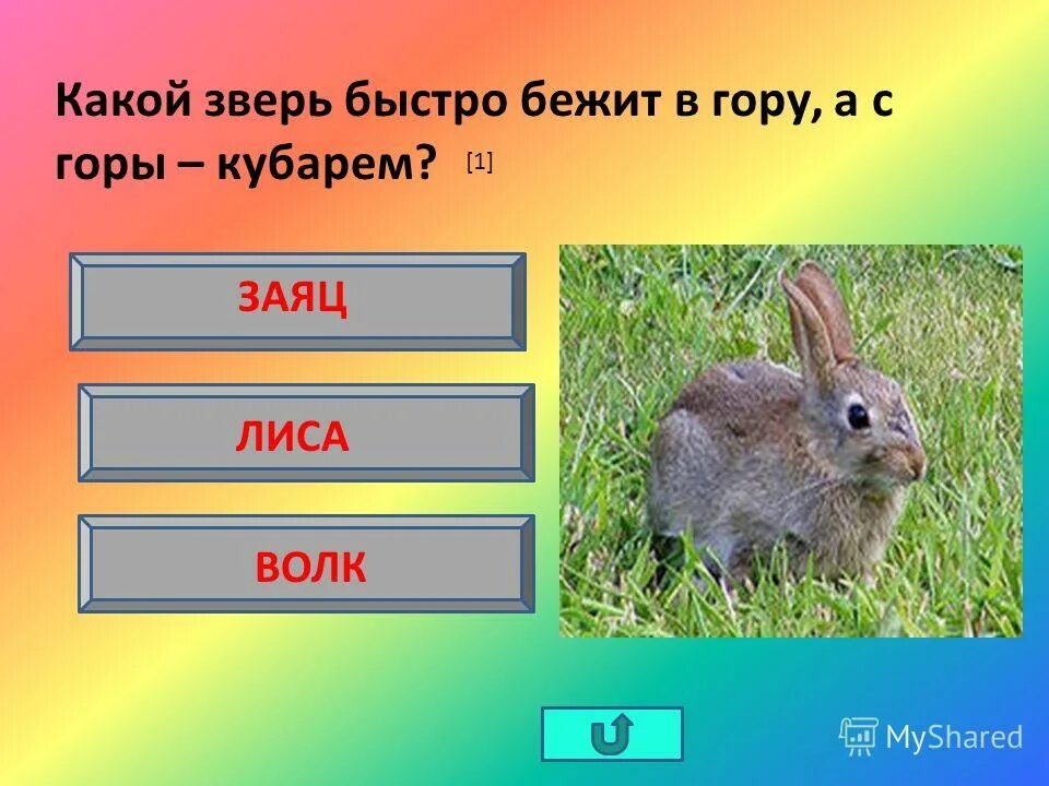 загадка в гору бегом а с горы кувырком ответ на загадку. загадки про зайцев. в гору бегом а с горы кувырком ответ на загадку. лиса и заяц. заяц с горы кувырком.