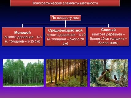 Элементы местности