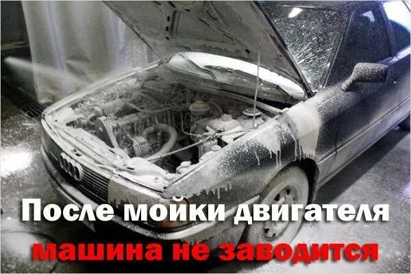 Мойка подкапотного пространства детейлинг. Не заводиться после мойки. Двигатели после детейлинга. Газует машина после мойки двигателя. Не заводиться после мойки.