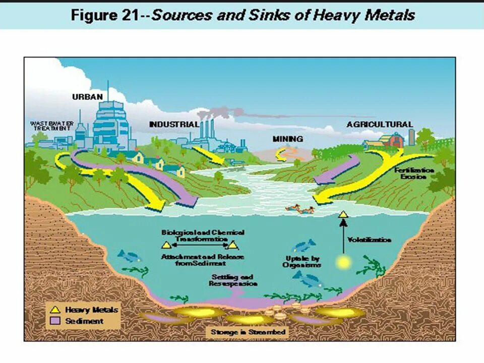 Water pollution heavy metals. Water pollution heavy metals. Загрязнение тяжелыми металлами. Тяжелые металлы в окружающей среде. Water pollution heavy metals.