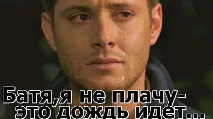 Я плачу надпись. Я не плачу это дождь. Я не плачу это дождь. Кот с микрофоном. Батя я не плачу это дождь идет.