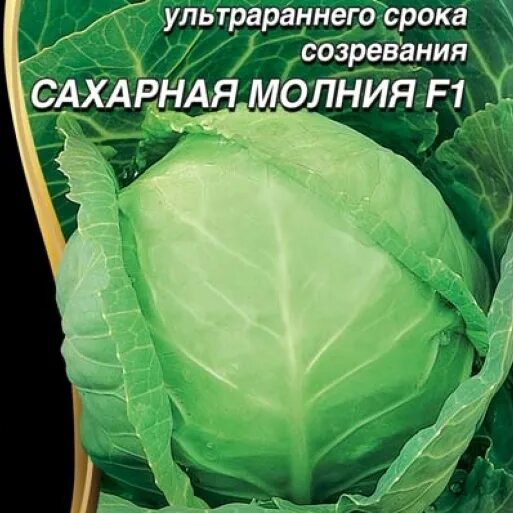 Капуста молния. Семена капуста сахарная молния f1. Дачник/ 0,1 г. Капуста молния. Капуста молния.
