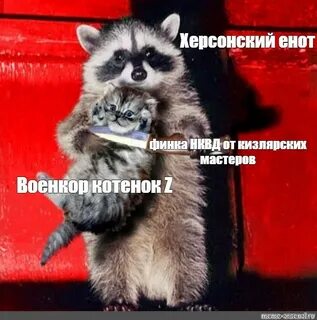 Песня из рилса с енотом