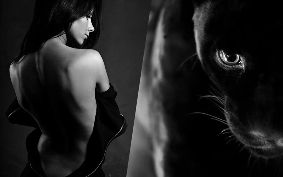 Танцуй пантера клип. Девушка и пантера картина. Брюнетка с пантерой. Хищная девушка. Клип девушка пантера.