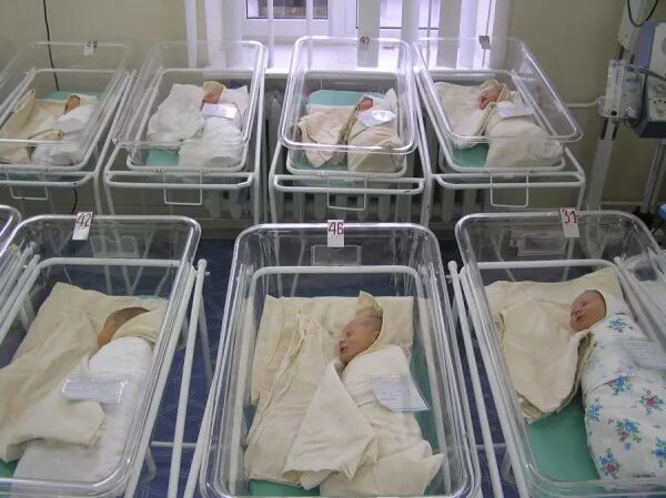 рожать в курске. курский областной перинатальный центр. рожать в курске. интервью в курске в перинатальном центре. перинатальный курск палата.