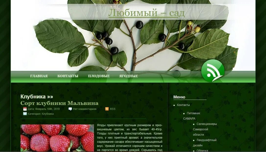 Вашутино питомник растений химки. Каталог питомника любимый сад нижний новгород. Каталог питомника любимый сад нижний новгород. Каталог питомника любимый сад нижний новгород. Оби белая дача хвойные многолетние.