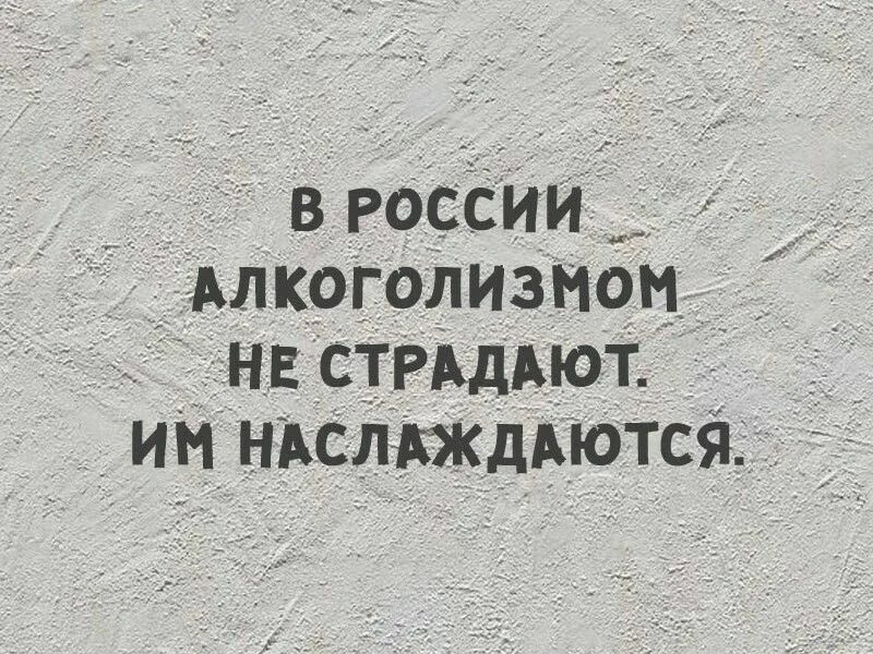 Знакомый страдать. Алкоголизмом не страдают им наслаждаются. Вы страдаете алкоголизмом. Наслаждаюсь алкоголизмом. Я не страдаю от алкоголизма я им наслаждаюсь.