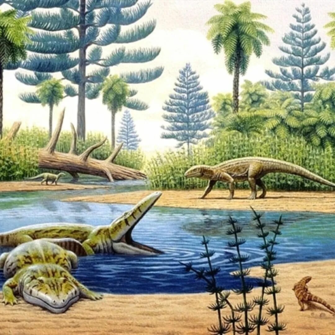 Триасовый период мезозойской эры. Триасовый период мезозойской эры животные. Динозавры Триасового периода.
