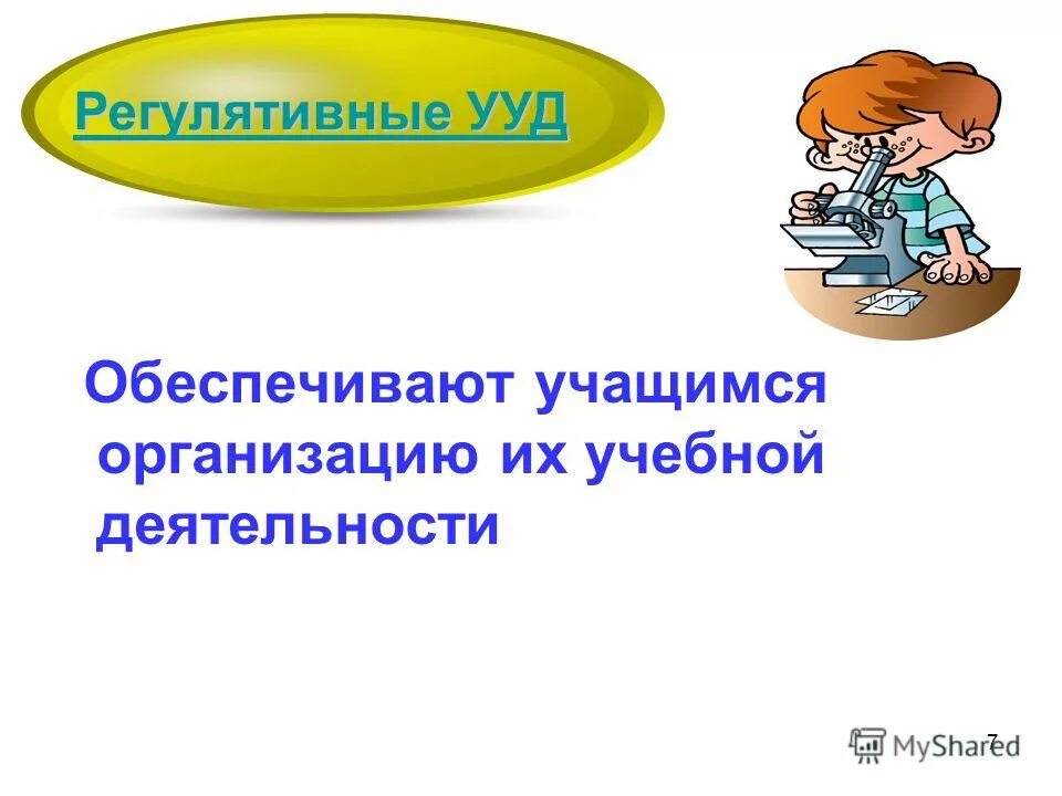 Обязуется обеспечить. Экскурсия как форма внеурочной деятельности. Предоставить обучающемуся. Предоставить обучающемуся. Задачи средней школы.