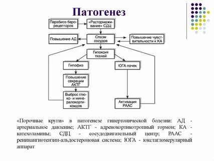 Патогенез перегрузок