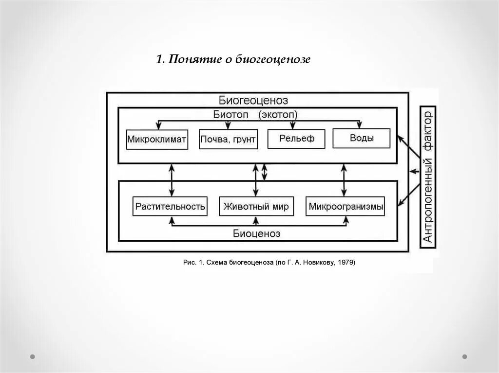 Основные структурные компоненты биогеоценоза. Компоненты биогеоценоза схема. Структура биогеоценоза схема. Экосистема схема.