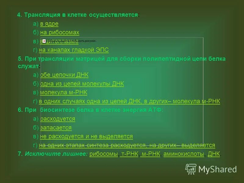 Трансляция при биосинтезе белка осуществляется в ядре. Матрица трансляции. служит матрицей для синтеза белков. при биосинтезе белка в клетке энергия атф. служит матрицей для трансляции.