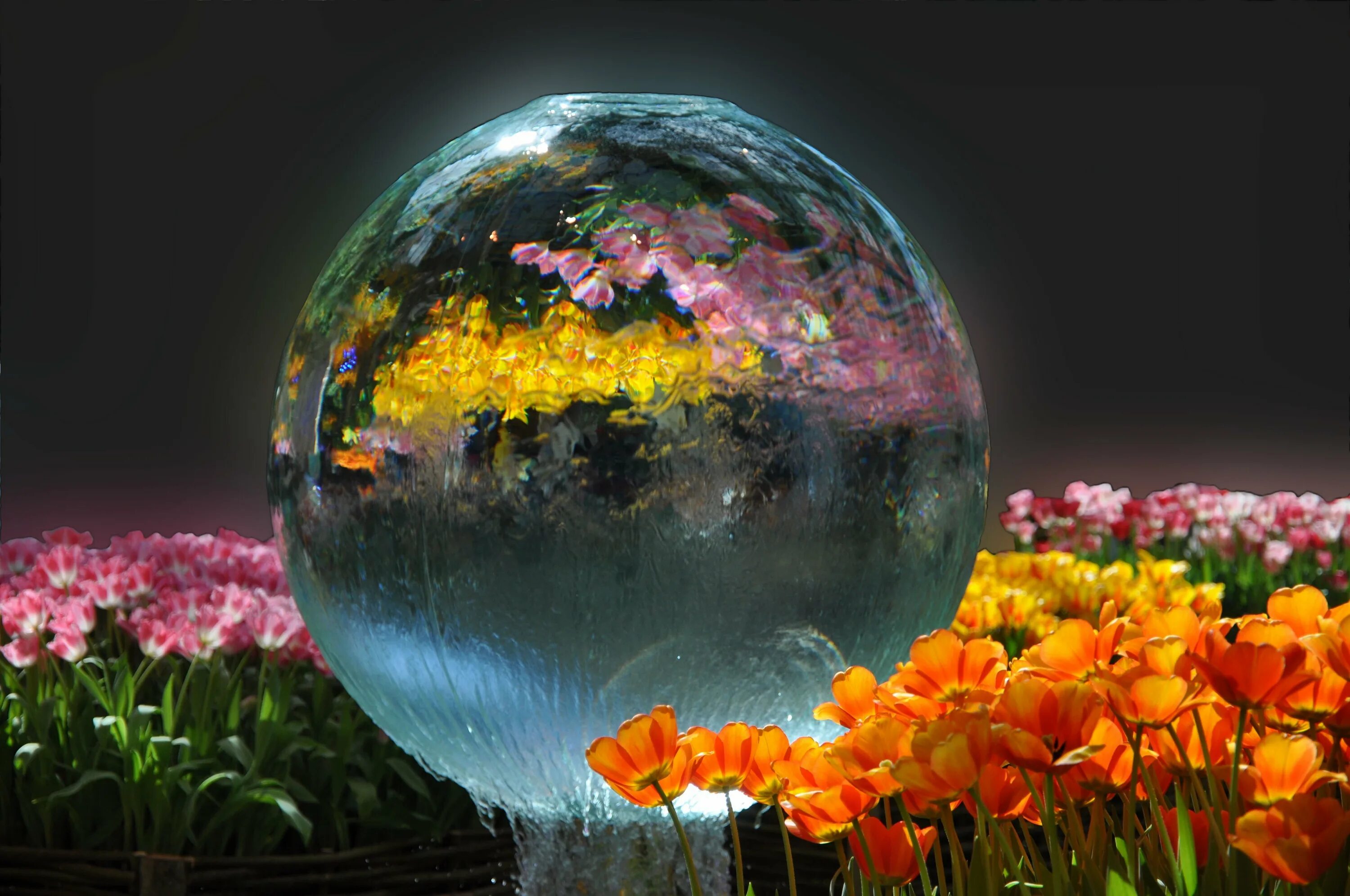 Леди гайя земля. Растения планеты земля. Драцена сокотра. Растения планеты земля. Цветущая планета рисунки.