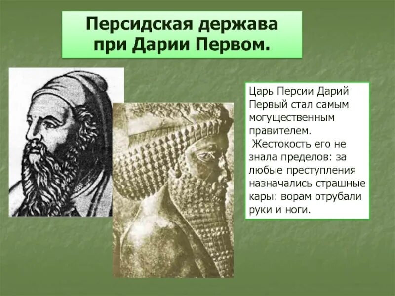 В каком государстве правил дарий первый. Дарий 1 царь Персии. Дарий 1 царь Персии 5 класс. Древняя Персия Дарий 1. Персидский царь Дарий 1.