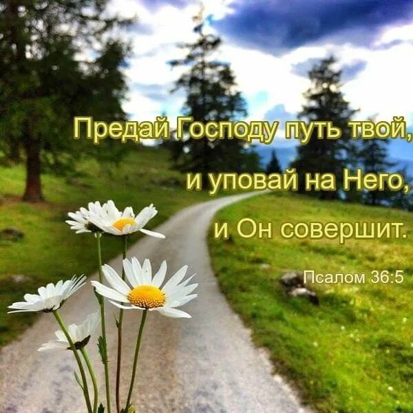 И уповаю на него. Предай господу путь твой и уповай. предай господу путь. предай господу путь твой и он совершит. уповай на него и он совершит.