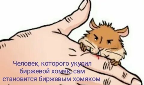 Укус хомяка опасен