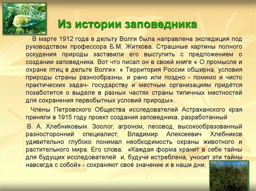 Текст про заповедник. Рассказ о заповеднике. Астраханский заповедник презентация. Заповедники презентация. Рассказ о заповеднике России.