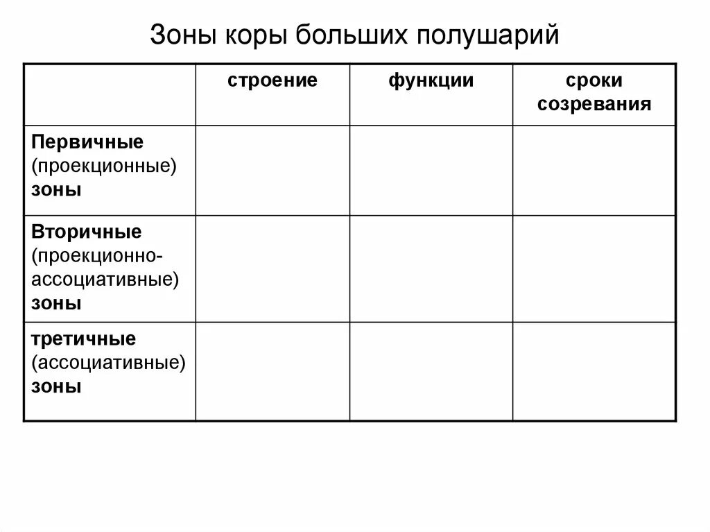 Большие полушария функции таблица. Зоны коры таблица. Зоны больших полушарий таблица. Зоны коры больших полушарий таблица. Первичные вторичные третичные зоны коры больших полушарий.