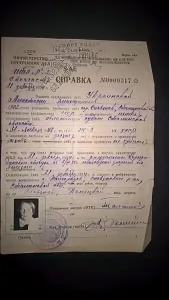 Как выглядит справка об освобождении Работа кипит, справку отложим на потом! Прогресс 60-65% 2023 Следствие вели. в