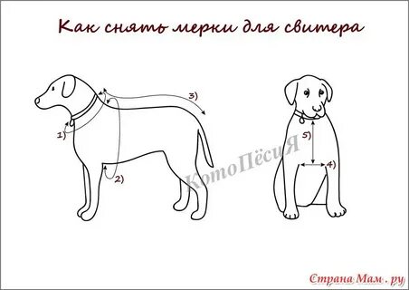 Как снимать мерки для свитера