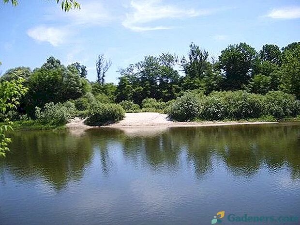 Село Колычево Турковского района. Река Хопер Турковский район. Село Колычево Саратовской области Турковский район. Турковский район Саратовская.