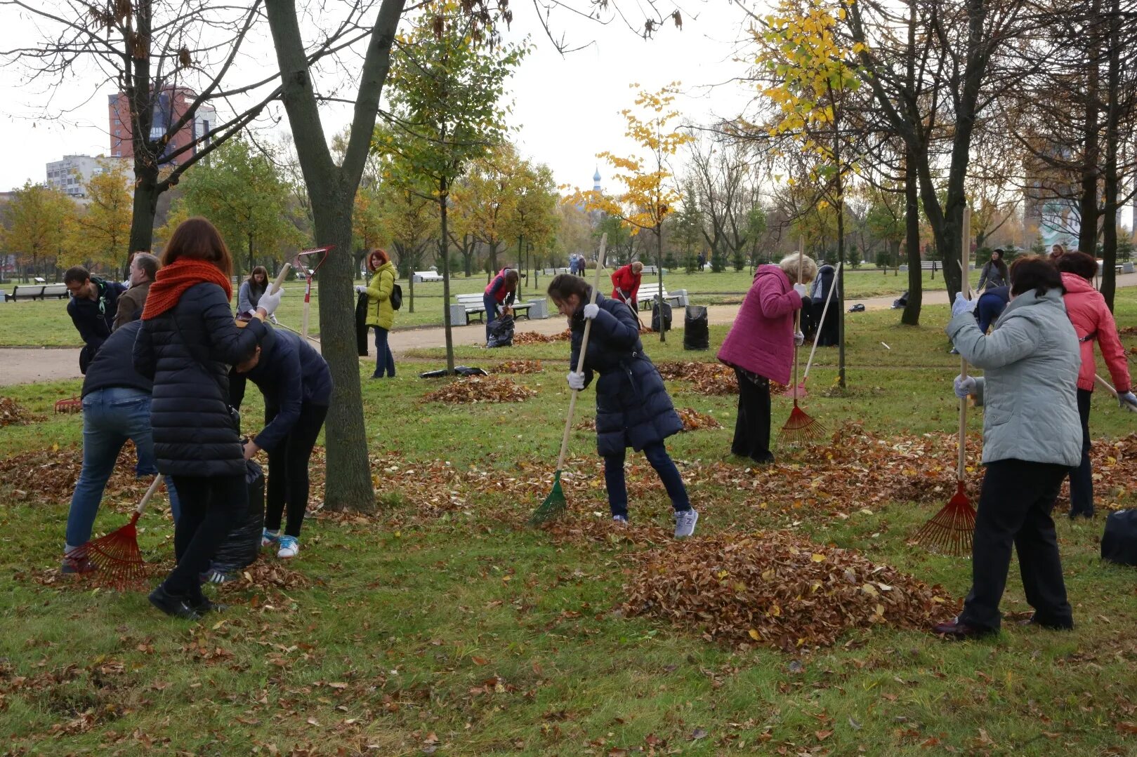 Парк подмосковье. Бутусовский парк ярославль фото. Благоустройство парка отдыха. Благоустройство территории рабочие. Работать в парке.