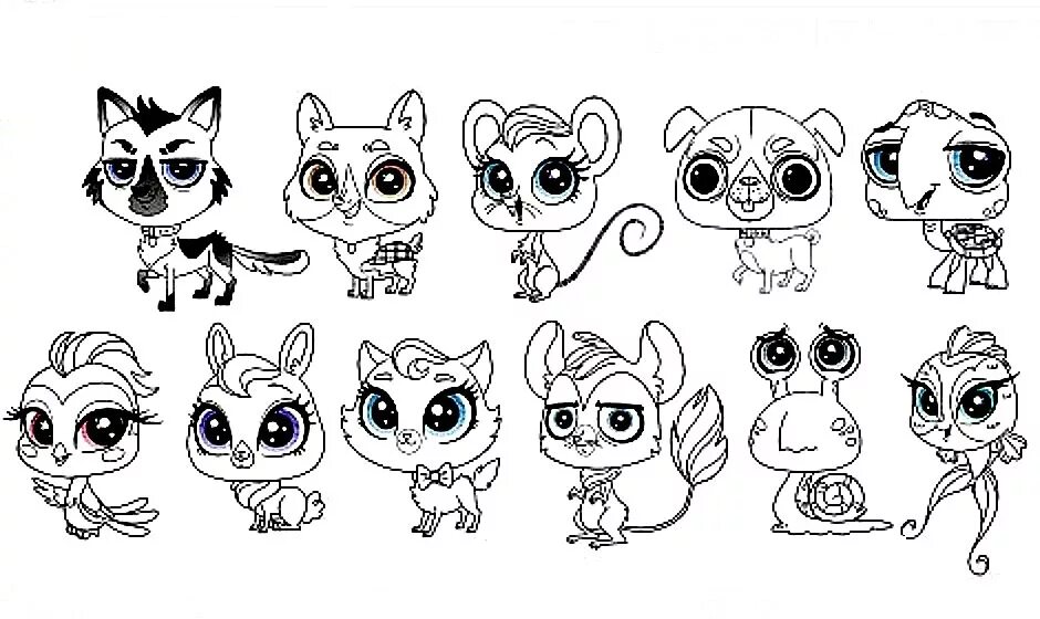 Раскраска Littlest Pet shop. Раскраски петшопы. Раскраска питомцы. Маленький зоомагазин раскраска. Где купить пэты